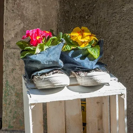 B&B Il Giullare-3
